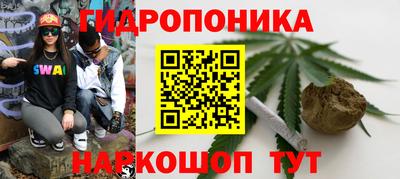 прущие крисы Кимры