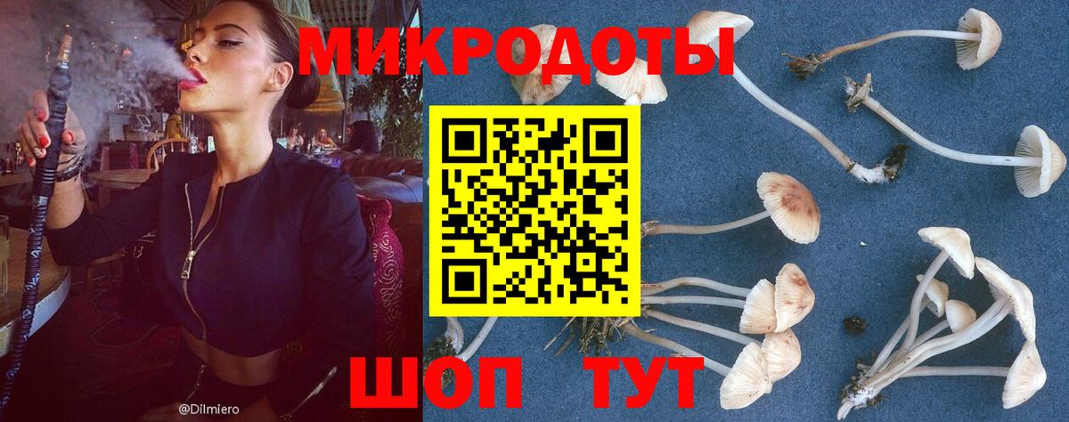 Галлюциногенные грибы Magic Shrooms  Вход с VPN  сколько стоит  Тольятти 